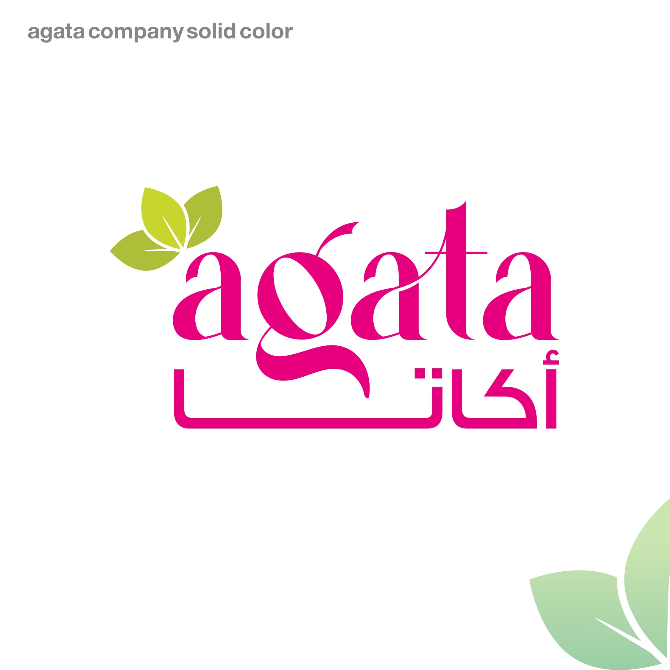 WhatsApp Image 2024-09-22 at 12.11.20_a2fdddae