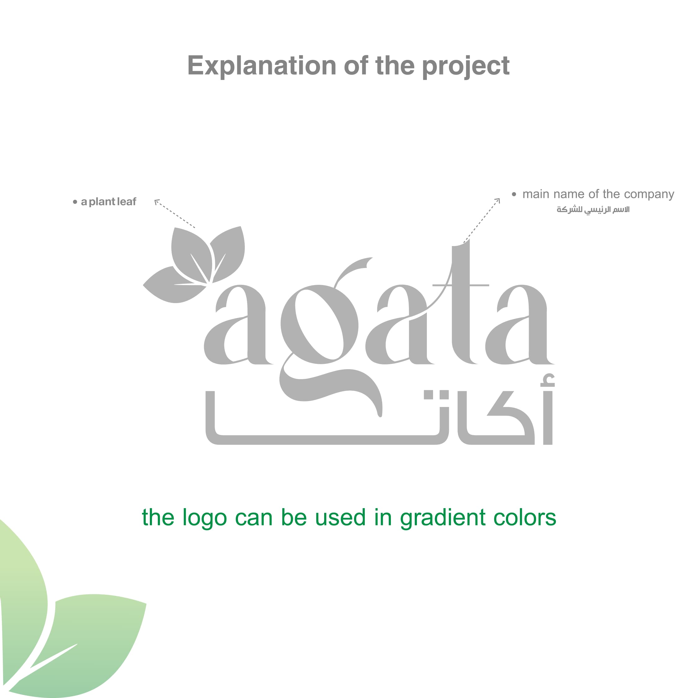 WhatsApp Image 2024-09-22 at 12.11.19_6065c1db