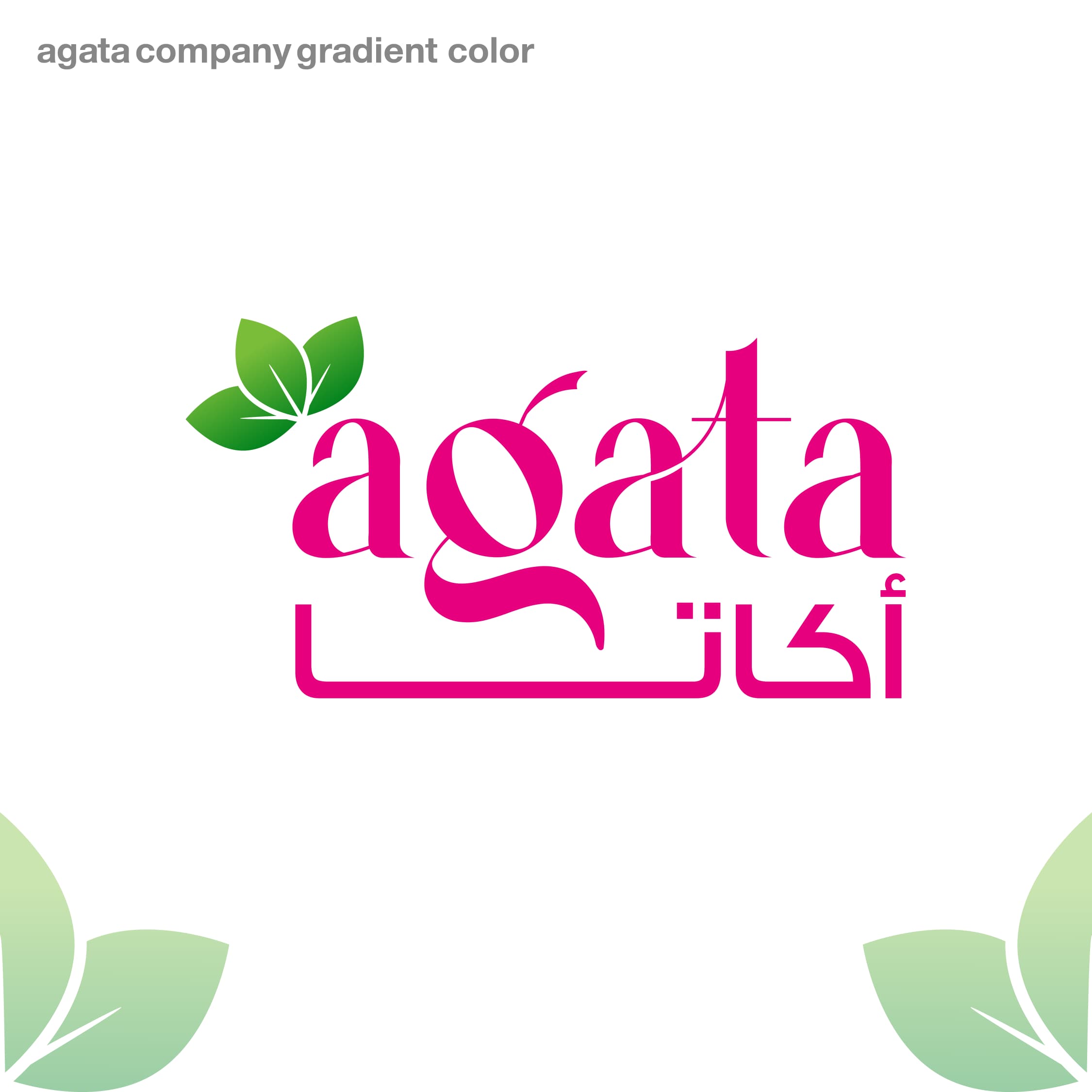 WhatsApp Image 2024-09-22 at 12.11.20_144f1bc3